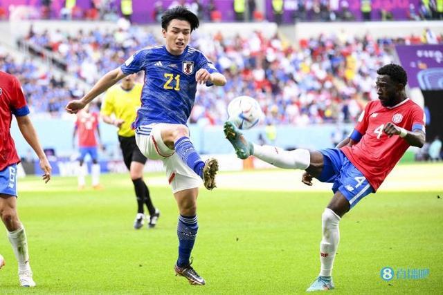 爱好者在家 爱好者在家