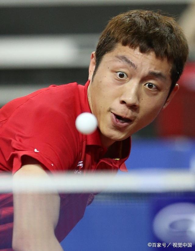 本届赛事的 本届赛事的